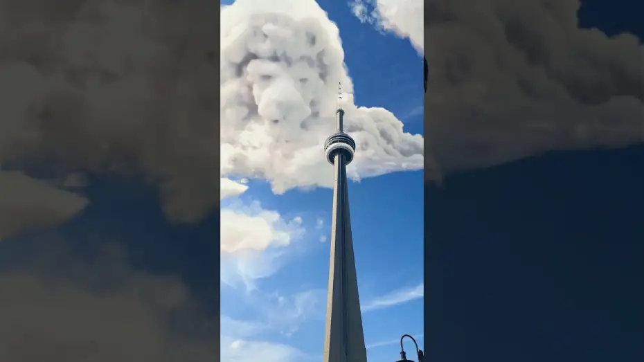 Watch film Mufasa: The Lion King | Be the First to Watch at Home Today. Buy It Now Only On Digital