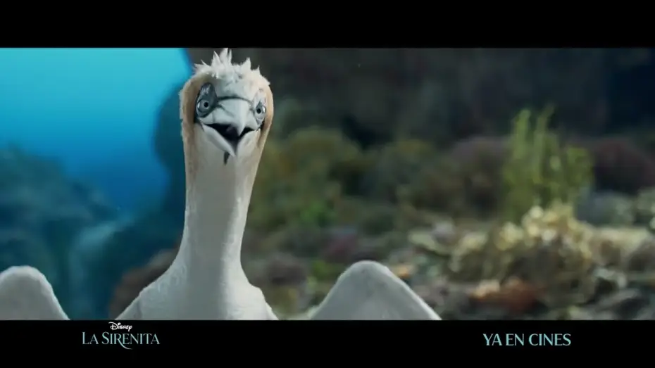 Watch film The Little Mermaid | Anuncio: '&iquest;Qu&eacute; tengo aqu&iacute;?'
