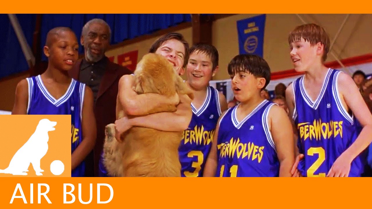Watch film Air Bud | Air Bud Sports News - Model Teammate