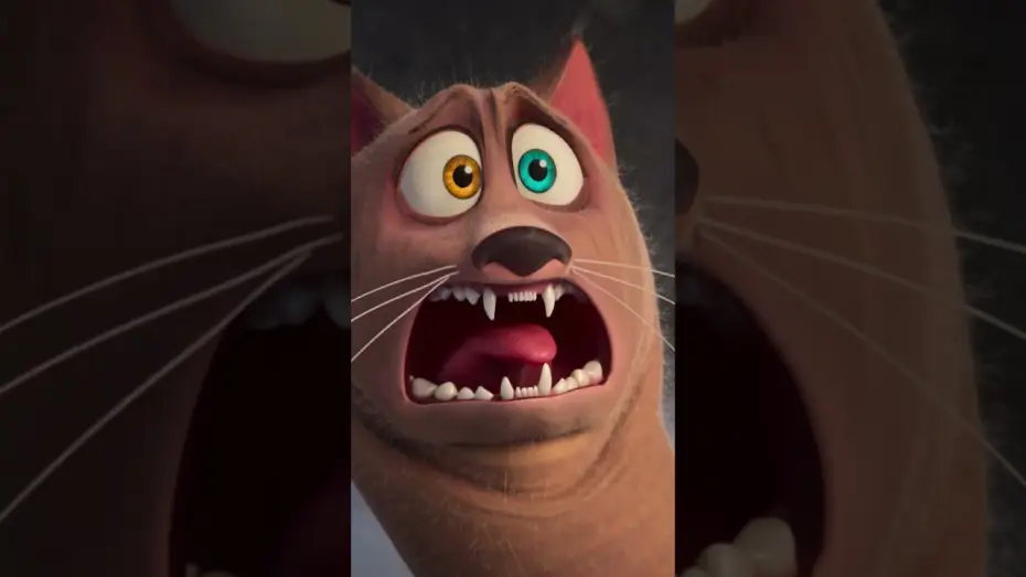 Watch film Hitpig | ONLY IN THEATERS NOV. 1