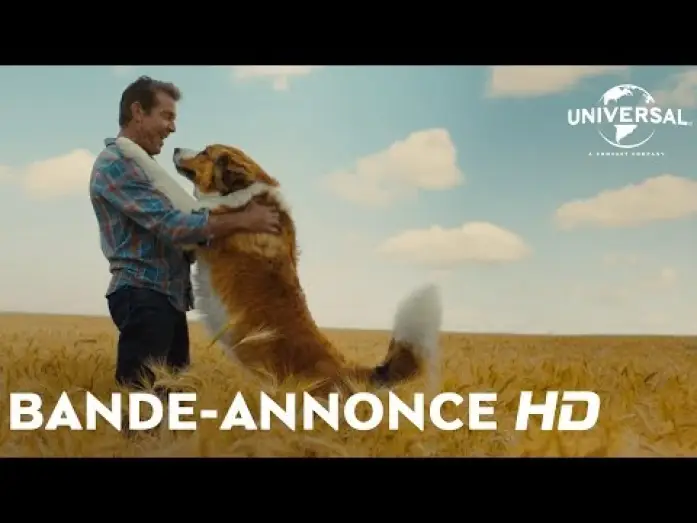 Watch film A Dog's Journey | Mes Autres Vies de Chien - Bande Annonce VOST