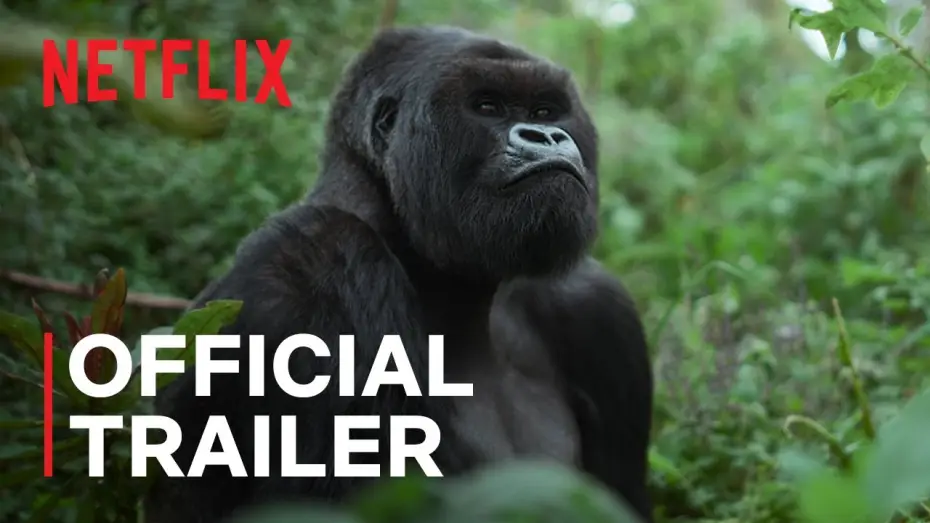 Watch film A Gorilla Story: Told by David Attenborough | Official Trailer