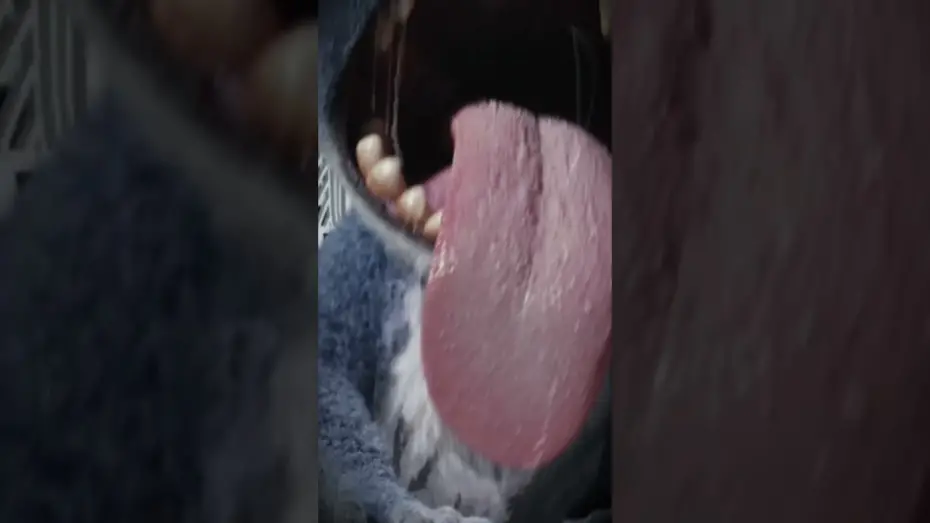 Watch film Lilo & Stitch | Caught on camera