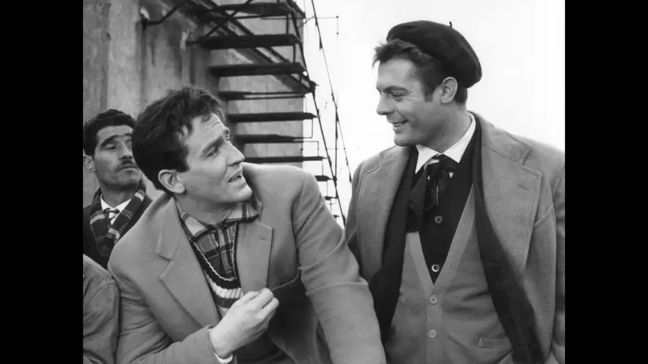 Watch film Big Deal on Madonna Street | Rufuf&uacute; - Tr&aacute;iler