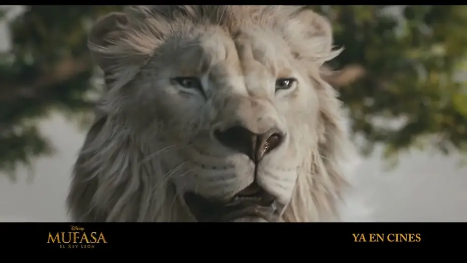 Watch film Mufasa: The Lion King | Anuncio: 'Este reino me pertenece'