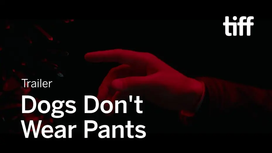 Watch film Dogs Don't Wear Pants | DOGS DON'T WEAR PANTS Trailer | TIFF 2019