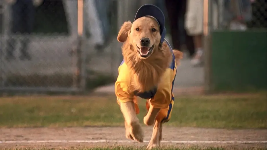 Watch film Air Bud: Seventh Inning Fetch | Air Bud 4: Seventh Inning Fetch (2002) ORIGINAL TRAILER [HD]
