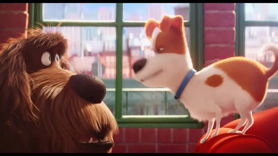 Watch film The Secret Life of Pets | Comme Des B&ecirc;tes / Extrait "Max pi&egrave;ge Duke" VF [Au cin&eacute;ma le 27 juillet]