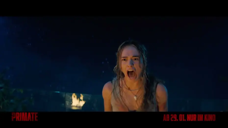 Watch film Primate | PRIMATE | Contrast 20 | Kinostart: ab 29.1.