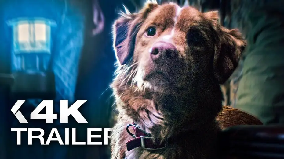 Watch film Good Boy | GOOD BOY: Trust his instincts Trailer German Deutsch (2025)