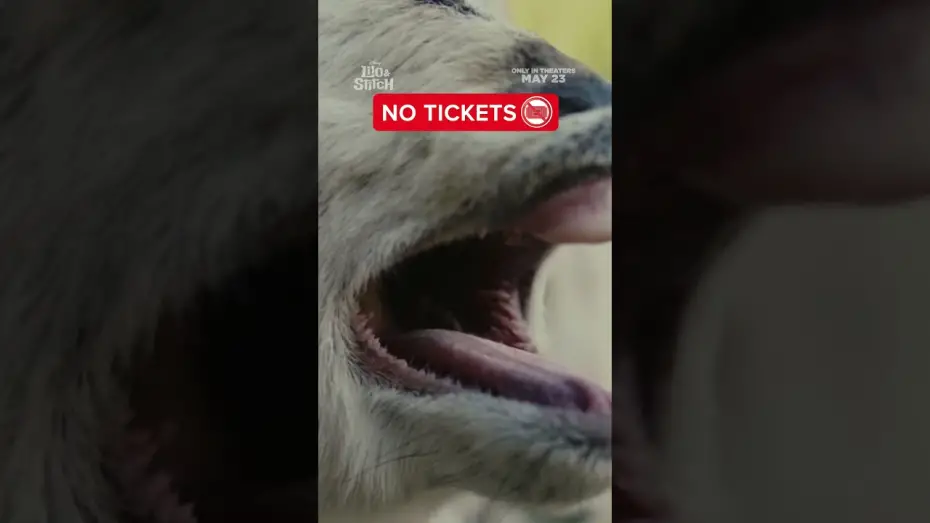 Watch film Lilo & Stitch | mood.