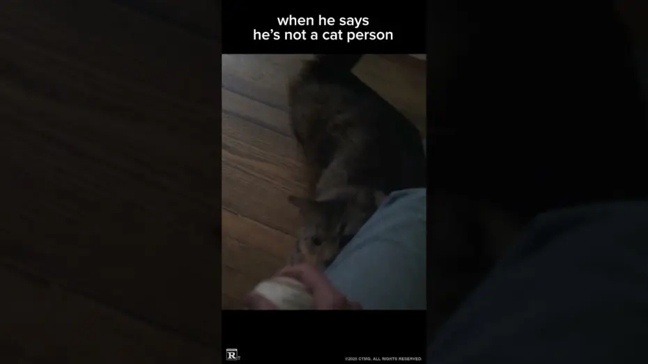 Watch film Caught Stealing | Cat Daddy