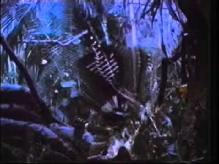 Watch film Predator | PREDATOR (1987) Con Arnold Schwarzenegger - Trailer Cinematografico