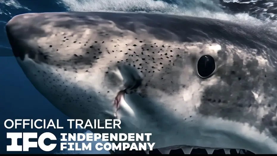 Watch film Chum | Official Trailer