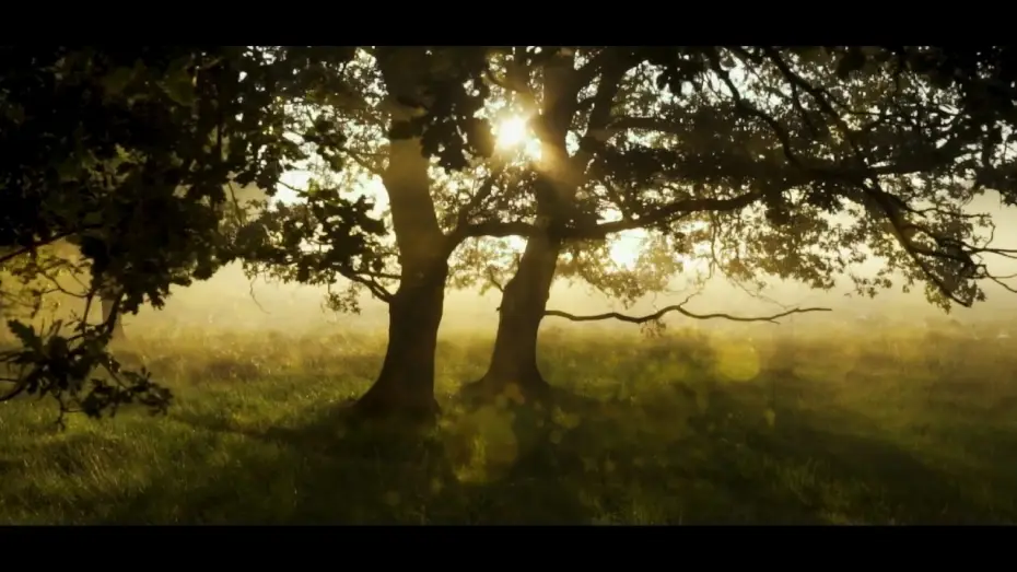 Watch film undertone | Relaxing Guided Meditation