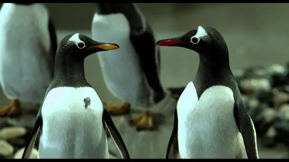 Watch film Mr. Popper's Penguins | International Trailer 2