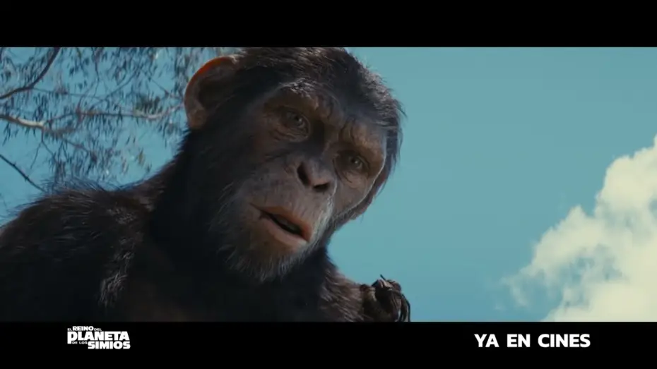 Watch film Kingdom of the Planet of the Apes | Anuncio: 'Un virus los hizo m&aacute;s inteligentes'