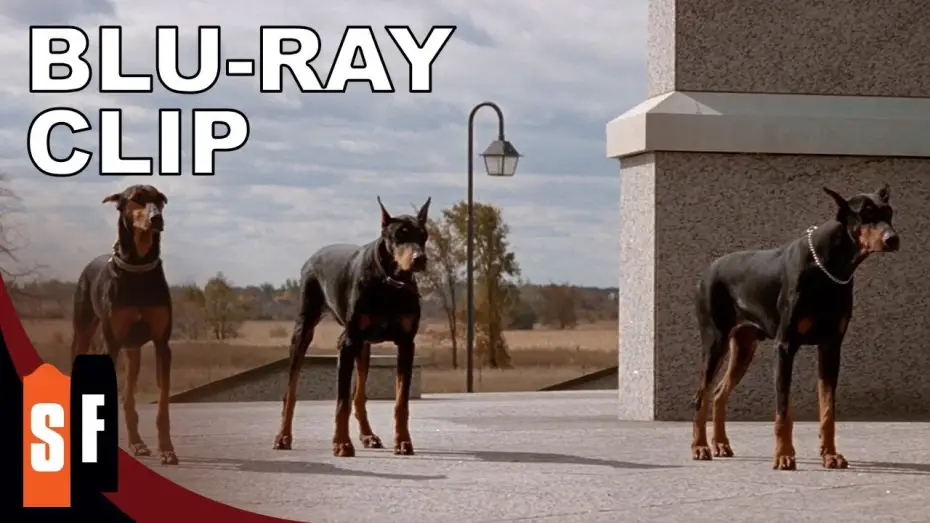 Watch film In the Mouth of Madness | Release The Hounds