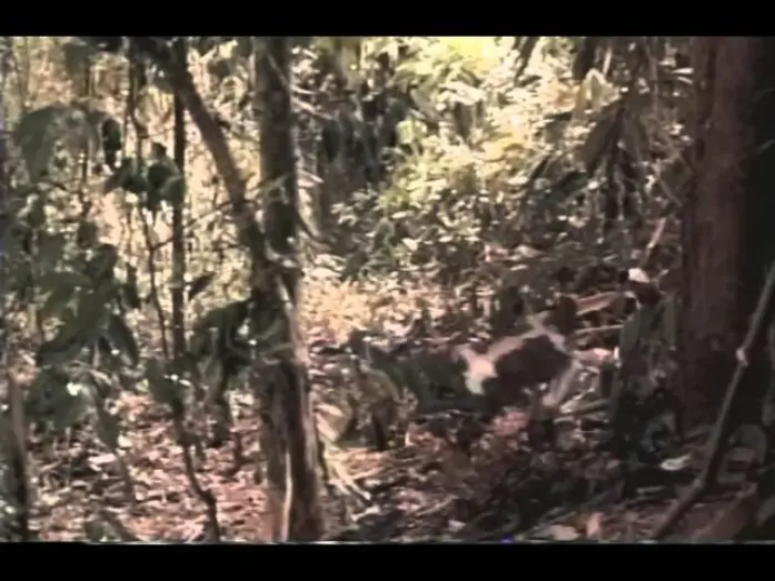 Watch film DNA | Dna Trailer 1997