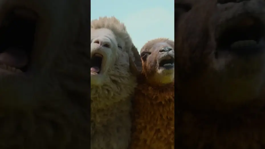 Watch film The Sheep Detectives | Visit Denbrook