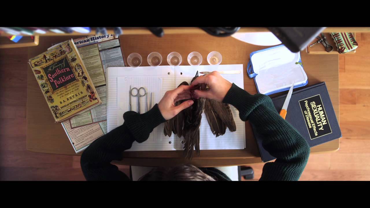 Watch film Excision | EXCISION Clip -- "Bird Surgery"