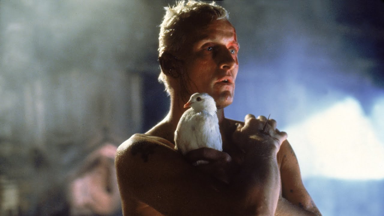 Watch film Blade Runner | Rutger Hauer as Roy Batty