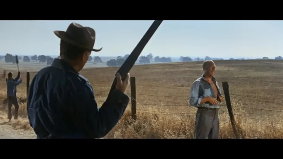 Watch film Cool Hand Luke | Full Movie Preview