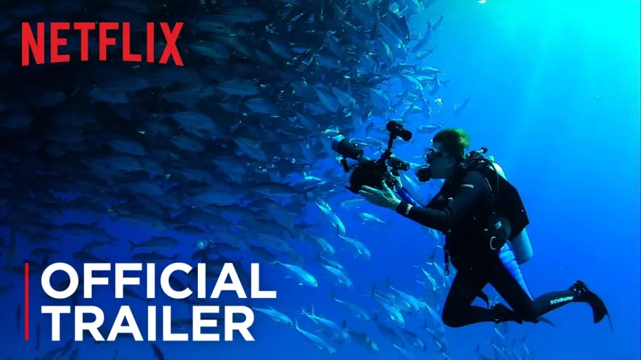 Watch film Mission Blue | Mission Blue | Official Trailer [HD] | Netflix