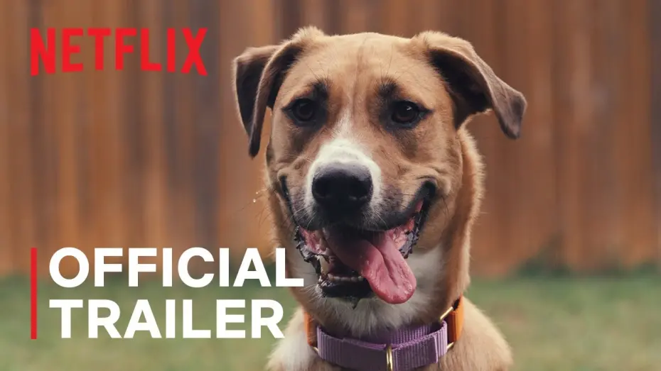 Watch film Inside the Mind of a Dog | Official Trailer