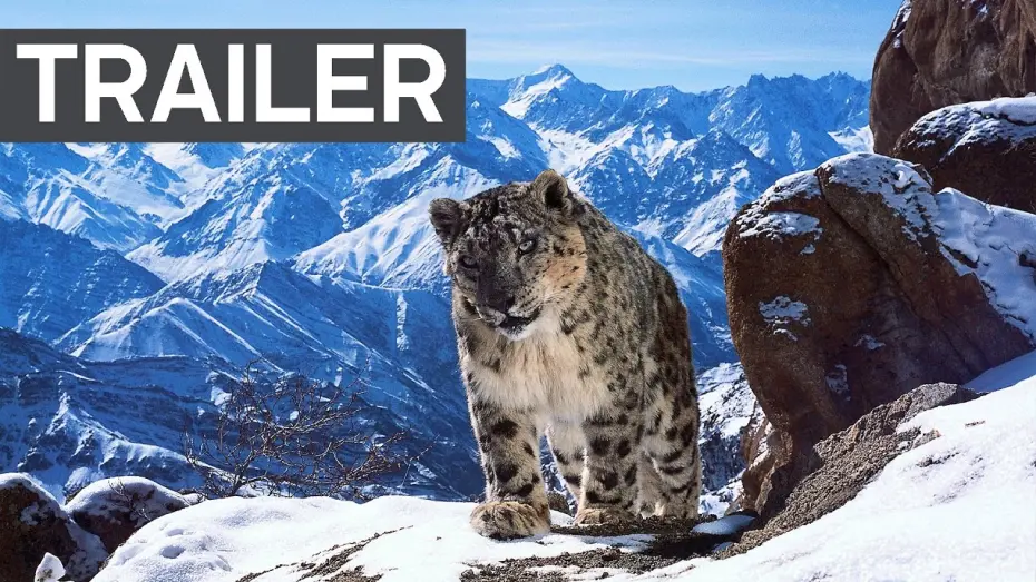 Watch film Planet Earth II: A World of Wonder | Planet Earth II: Official Extended Trailer | BBC Earth