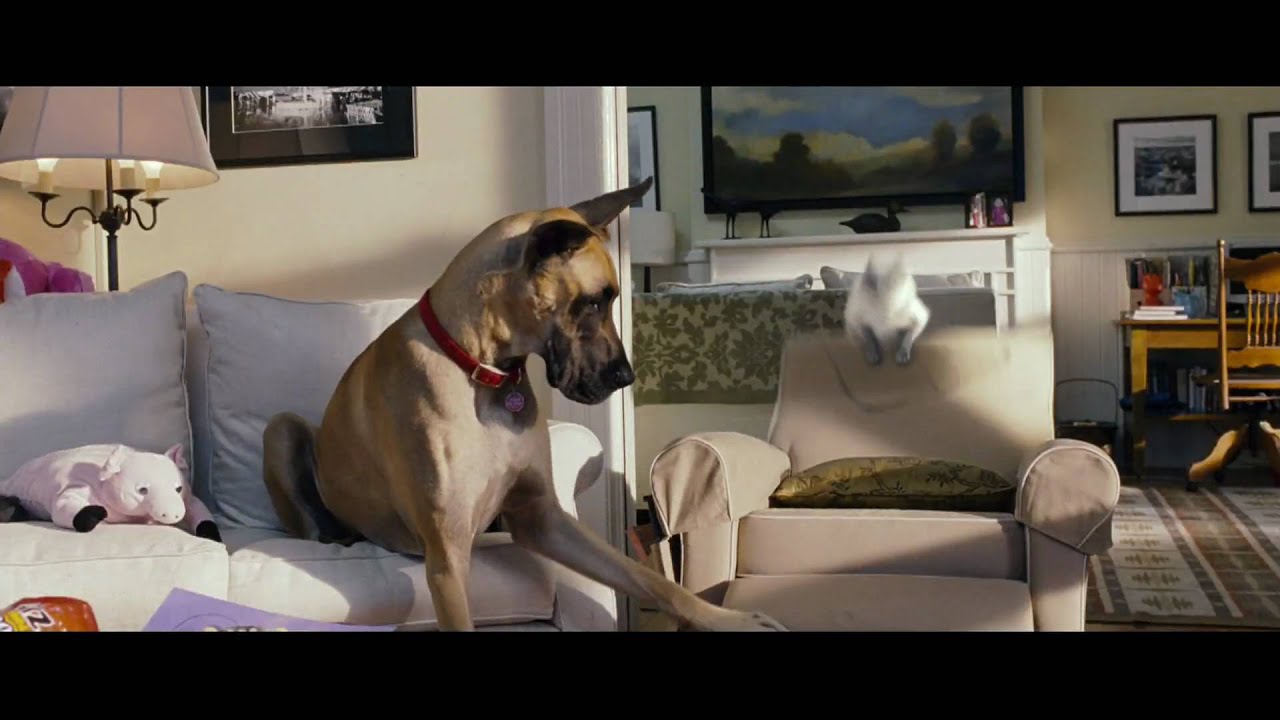 Watch film Marmaduke | Marmaduke - In Theaters June 4! | Official Trailer (HD)  | 20th Century FOX