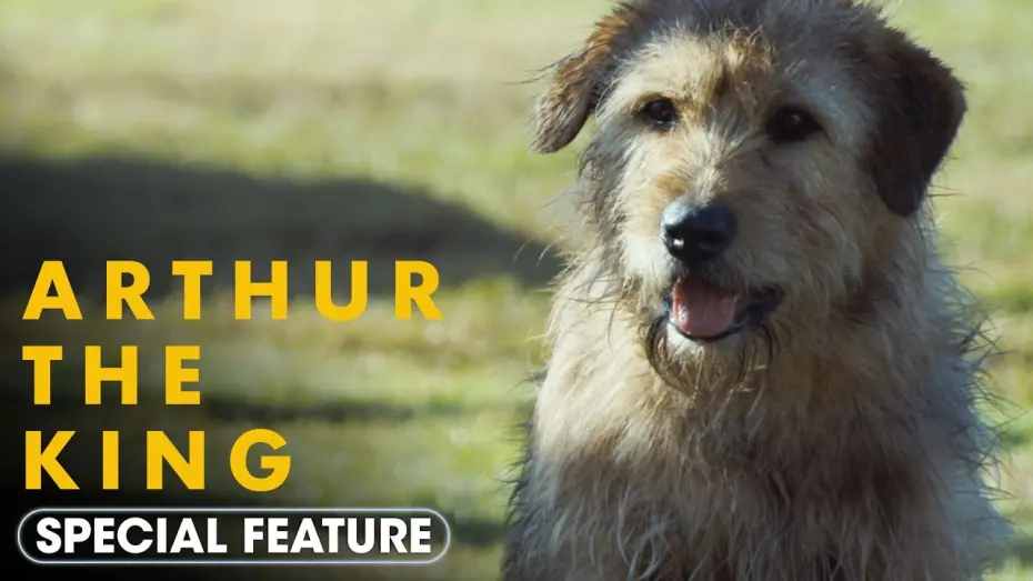 Watch film Arthur the King | Special Feature - ‘A Love Letter To Arthur’