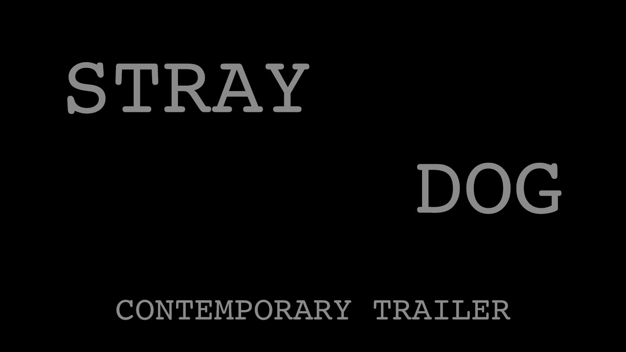 Watch film Stray Dog | 1949 - Stray Dog Trailer