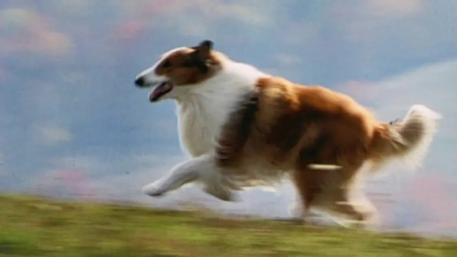 Watch film Lassie | Lassie (1994) ORIGINAL TRAILER [HQ]