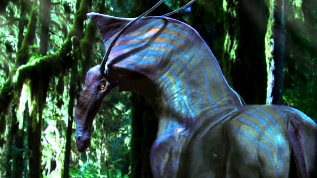 Watch film Avatar | DireHorse