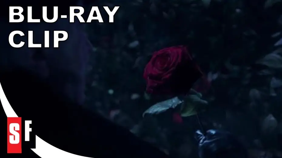 Watch film Beauty and the Beast | The Rose [Subtitled]