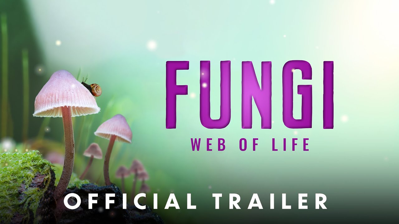 Watch film Fungi: Web of Life | Official Theatrical Trailer