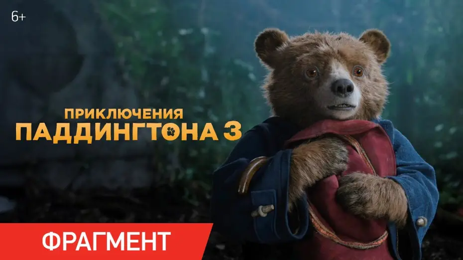 Watch film Paddington in Peru | Приключения Паддингтона 3 | Фрагмент «Талисман»