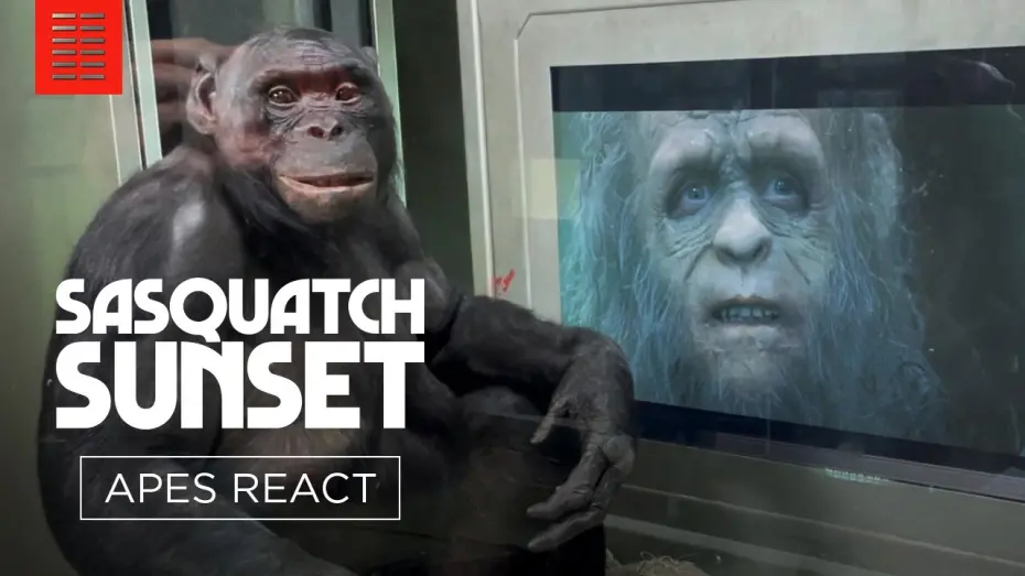 Watch film Sasquatch Sunset | Apes Watch Sasquatch Sunset with Jesse Eisenberg and the Zellner Bros