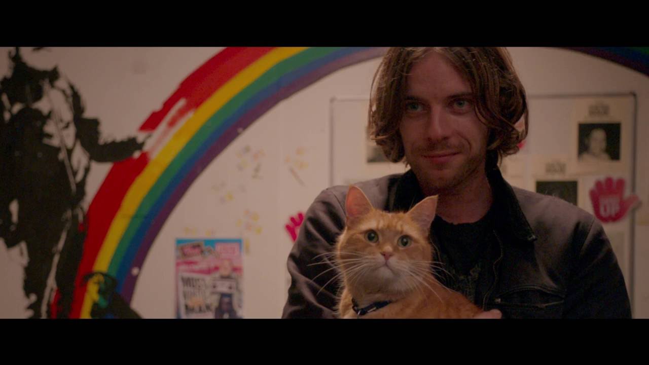 Watch film A Street Cat Named Bob | A Street Cat Named Bob - Official Trailer - Starring Luke Treadaway & Bob - At Cinemas November 4