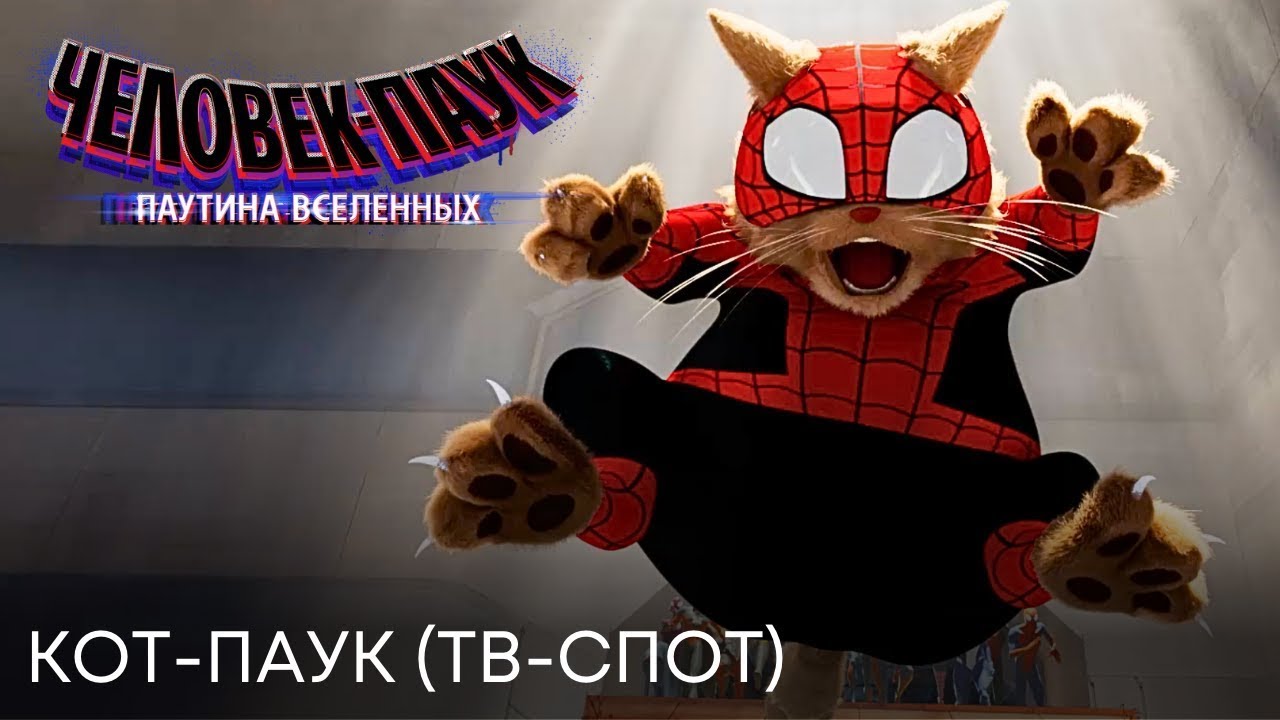 Watch film Spider-Man: Across the Spider-Verse | трейлер американского мультика ЧЕЛОВЕК-ПАУК: ПАУТИНА ВСЕЛЕННЫХ, в кино летом