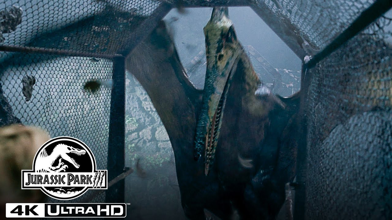 Watch film Jurassic Park III | The Pteranodon Aviary Attack in 4K HDR