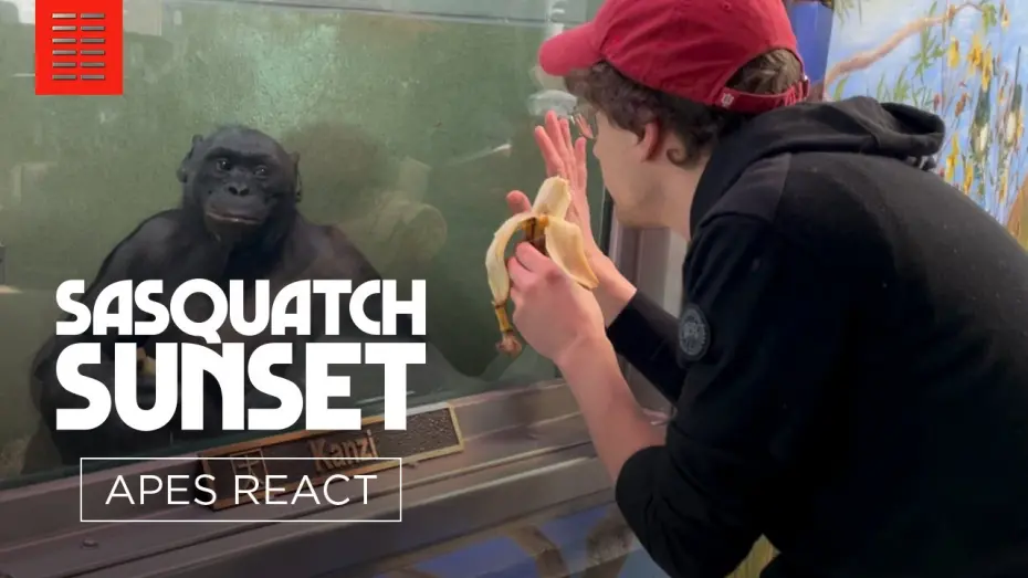 Watch film Sasquatch Sunset | Apes