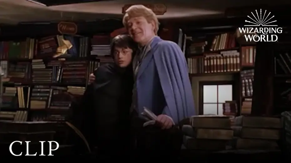 Watch film Harry Potter and the Chamber of Secrets | Gilderoy Lockhart