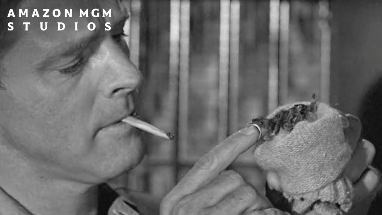 Watch film Birdman of Alcatraz | Stroud Rescues A Bird