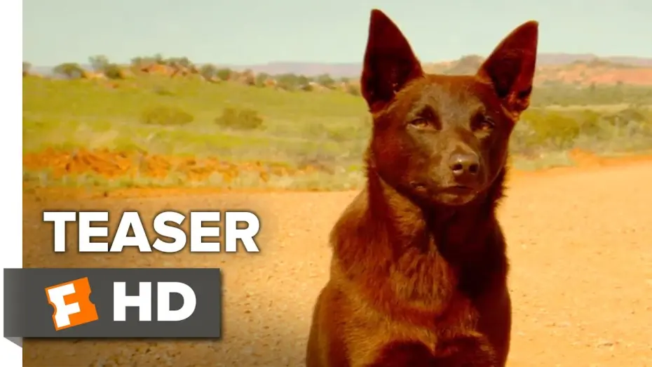 Watch film Red Dog: True Blue | Official Teaser