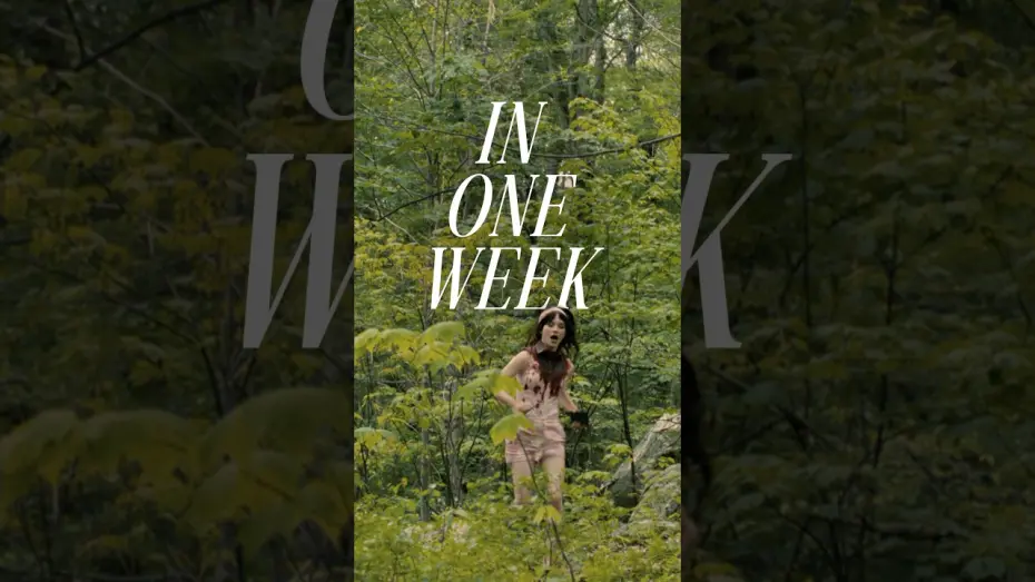 Watch film Companion | Celebrating one week is only a little obsessive.