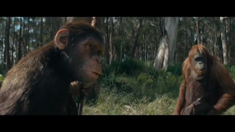 Watch film Kingdom of the Planet of the Apes | Protect