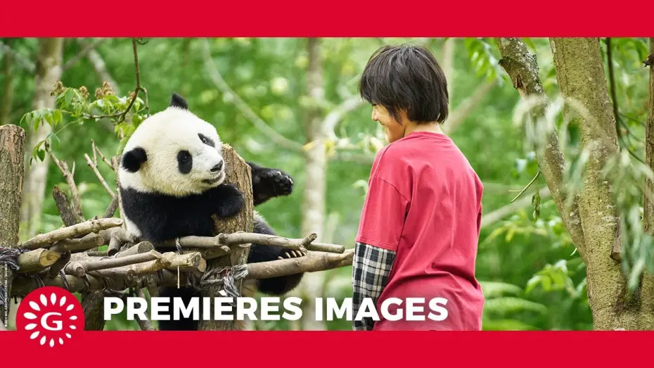 Watch film Moon The Panda | MOON LE PANDA - Premières images [Le 9 avril au cinéma ]