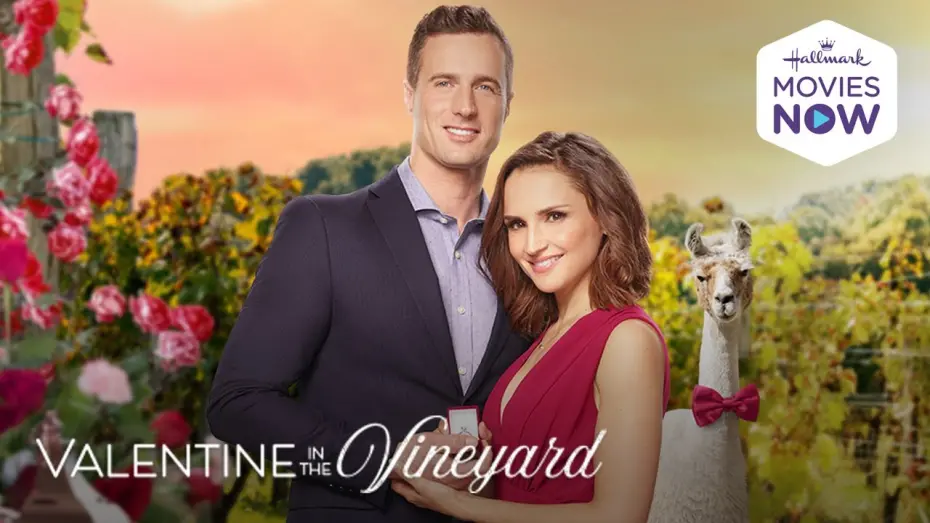 Watch film Valentine in the Vineyard | Preview - Valentine in the Vineyard - Hallmark Movies Now